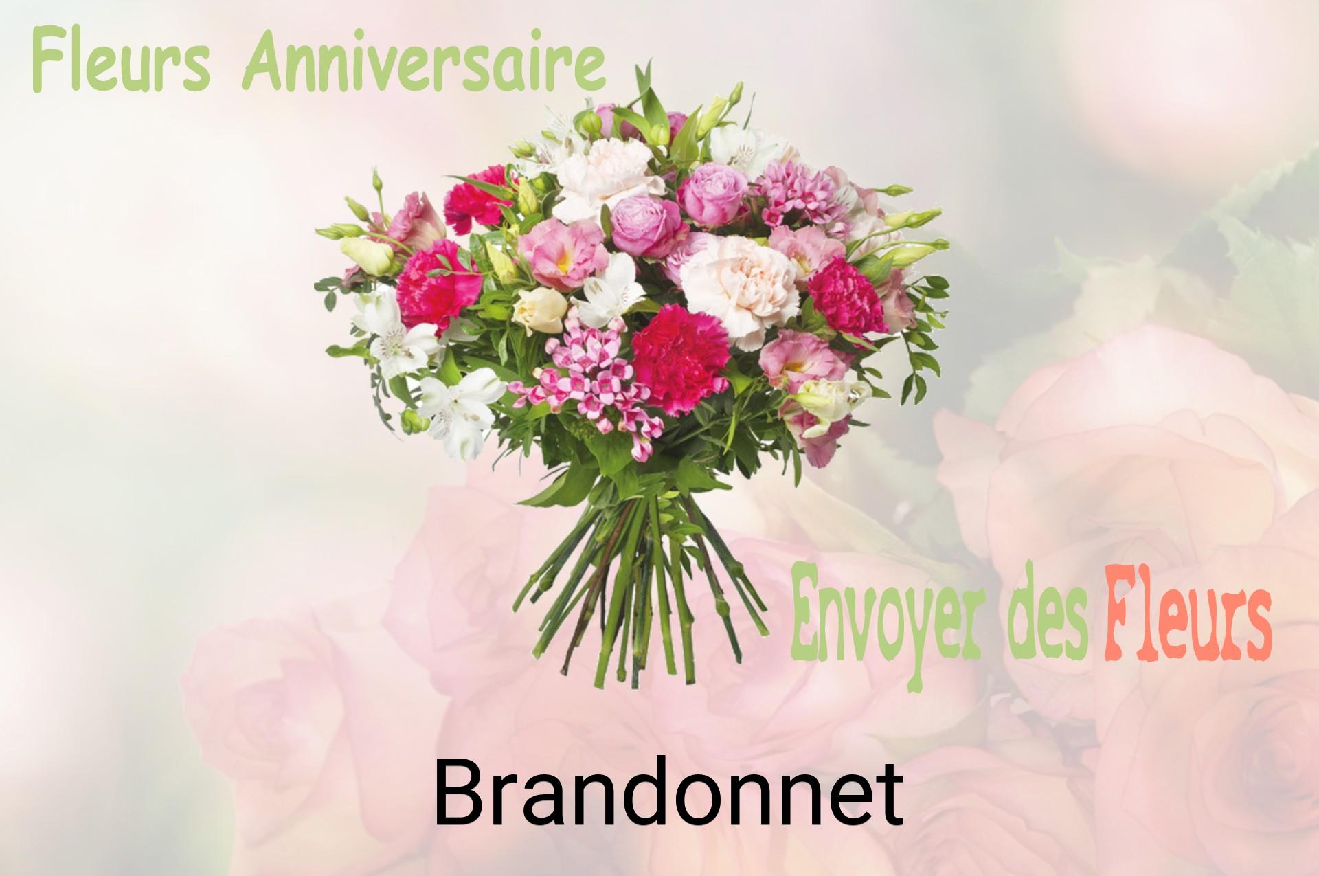 Bouquet de fleurs d’anniversaire livré à Brandonnet