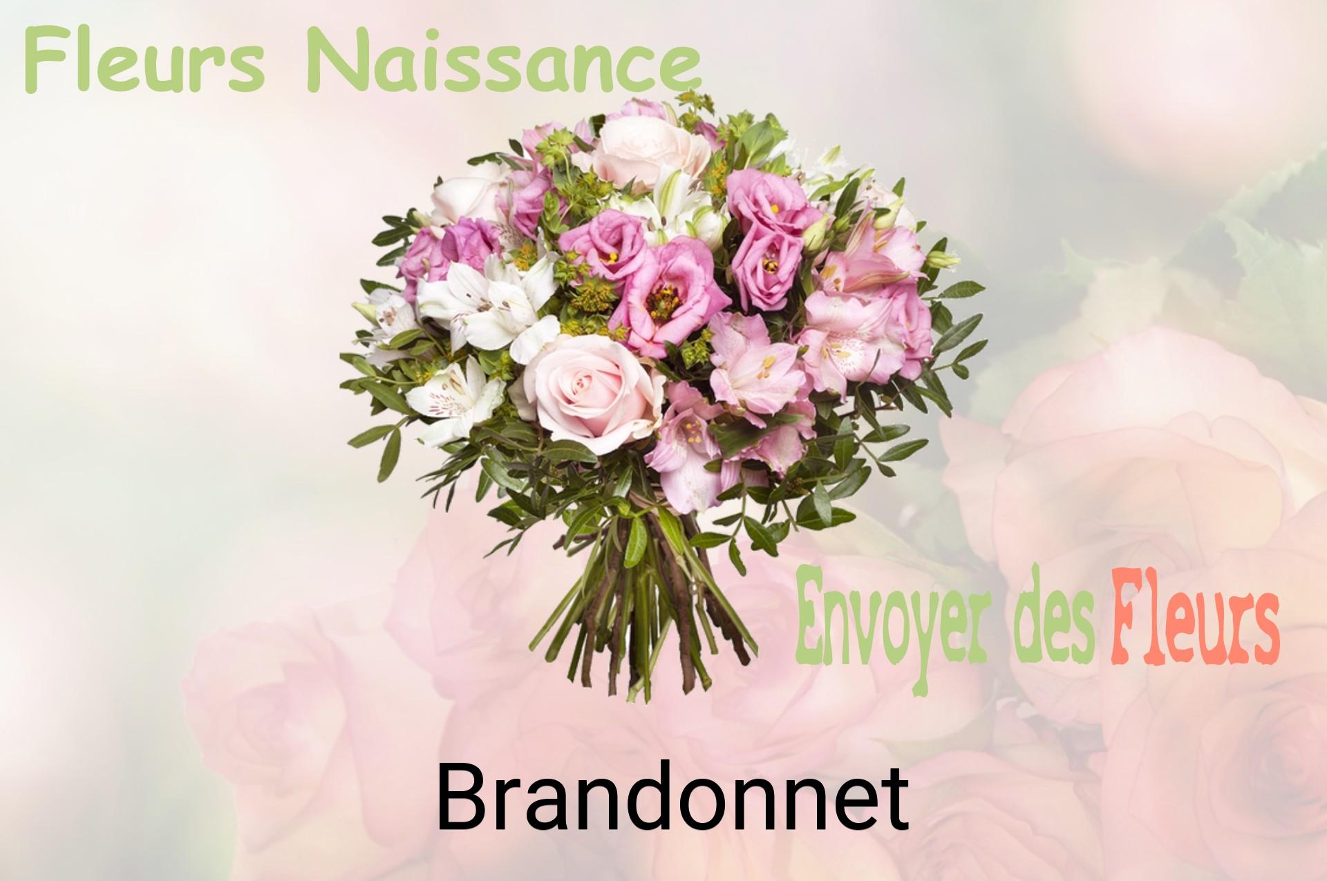 Bouquet de fleurs de naissance livré à Brandonnet