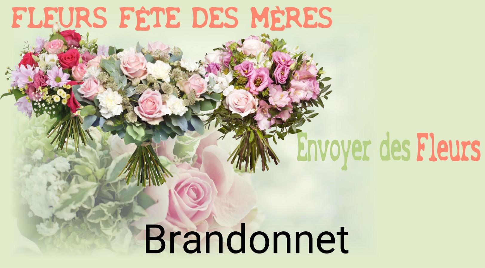 Bouquet de Fête des Mères livré à Brandonnet